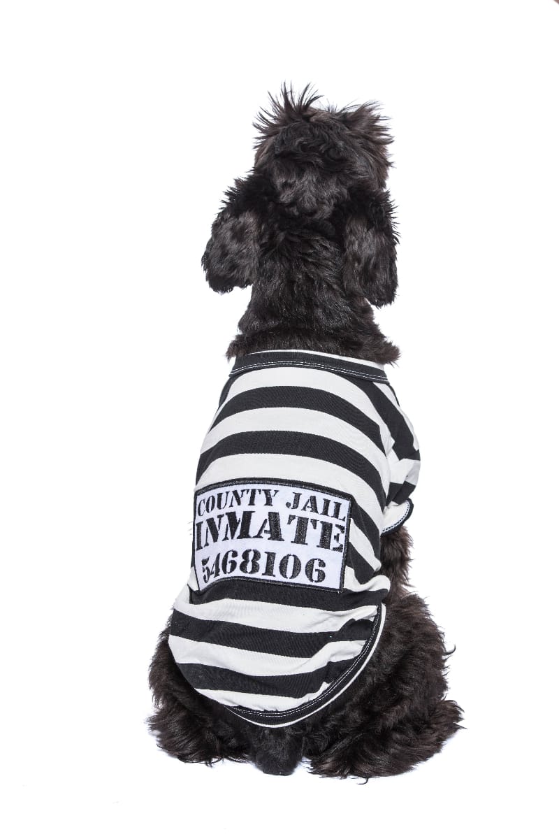Parisian Pet® Tee's Furry Inmate Black & White Striped Funny Costume Dog T-Shirt