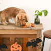 Hugsmart Products Inc dog toys Howloween Night Brown Spider Ball Dog Toy