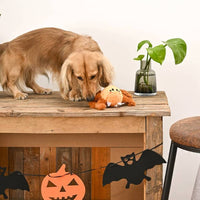 Hugsmart Products Inc dog toys Howloween Night Brown Spider Ball Dog Toy