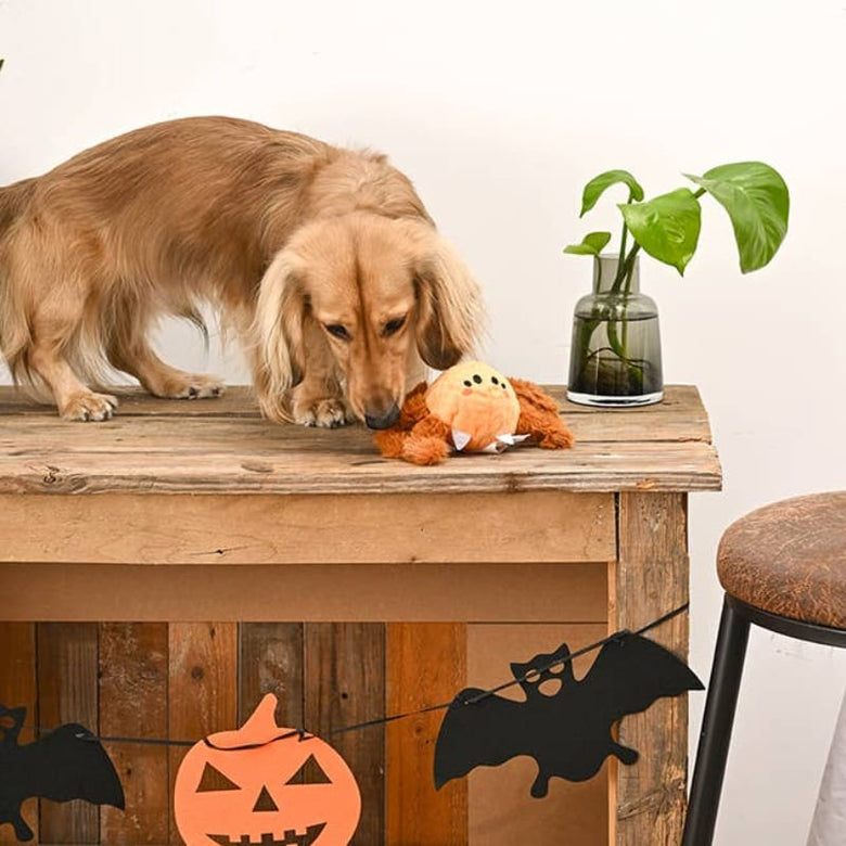 Hugsmart Products Inc dog toys Howloween Night Brown Spider Ball Dog Toy