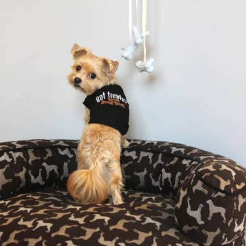 Parisian Pet Tee's MD Got Treats? Black Dog T-Shirt