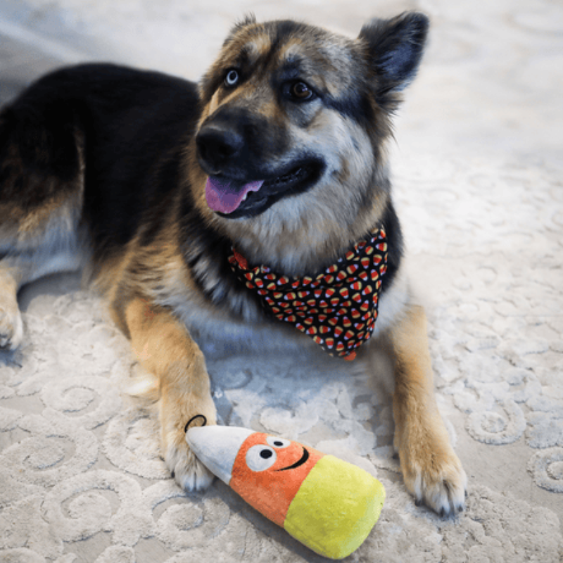 Huxley & Kent Huxley & Kent - Kookie Korn Dog Toy