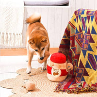 Hugsmart Products Inc Dog Toys Food Party Peanut Butter Jar-Interactive Plush Squeak Dog Toy Set - 4 Pc