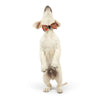 Shiny Christmas Holiday Red Plaid Bow Tie Pet Collar Attachment - 2 Sizes
