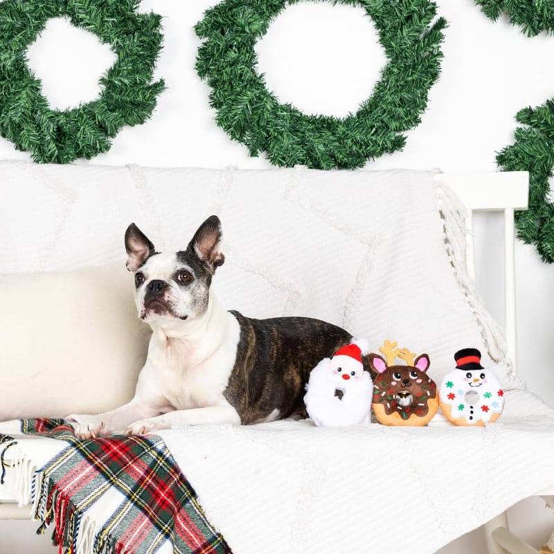 PetShop by Fringe Studio Toys A Hole Lot of Holiday Fun Dog Toy Set - 3 Pc