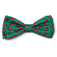 Watermelon Green Bow Tie Pet Collar Attachment - 2 Sizes