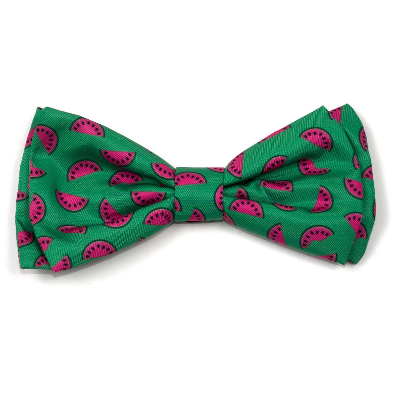 Watermelon Green Bow Tie Pet Collar Attachment - 2 Sizes