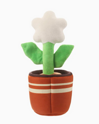 Puppy Garden Daisy 2 in 1 Plush Squeaky Dog Toy Set