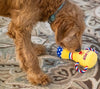 Thoozy dog toys #1 PUP Trophy Rope Tug Plush Squeaky Dog Toy - 9"
