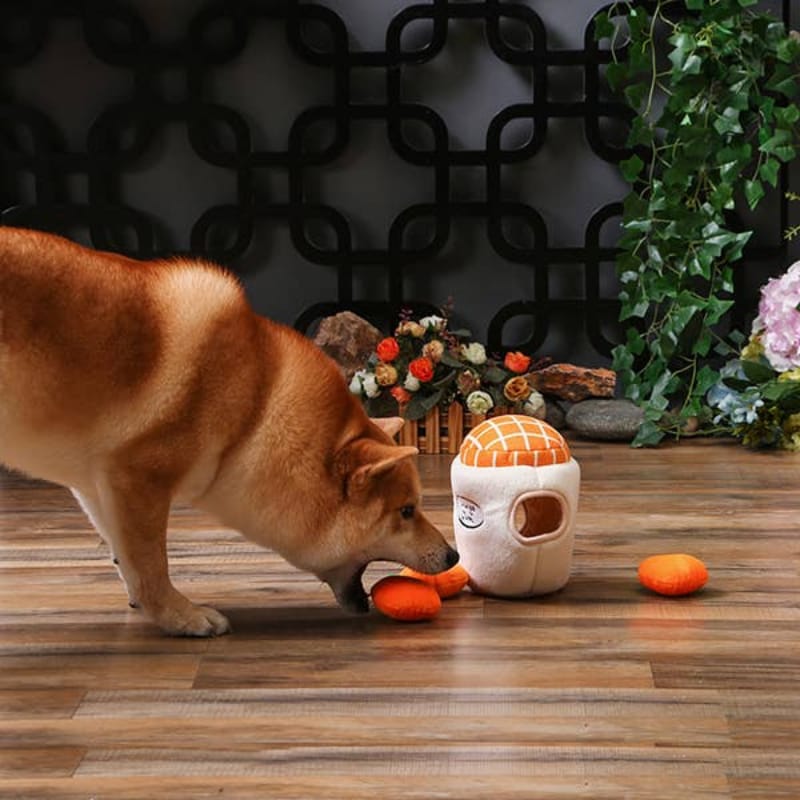 Hugsmart Products Inc dog toys Food Party Orange Jam Interactive Plush Dog Toy Set - 4 Pc