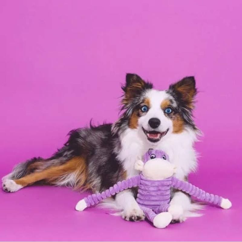 ZippyPaws dog toys Spencer Crinkle Monkey Purple Plush Squeak Dog Toy - Sm