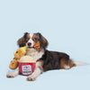 BARK That's My Jam, Honey Plush Dog Toy Set - 2 Pk