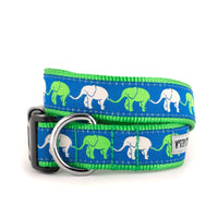 The Worthy Dog COLLARS XS Elephant Walk Blue & Lime Green Dog Collar