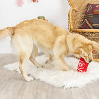 Pet Shop by Fringe Studio dog toys Hearts on Fire Plush Red Rope Dog Toy