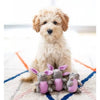 ZippyPaws dog toys Grey Bunnies Miniz Plush Squeaky Dog Toy Set - 3 Pk