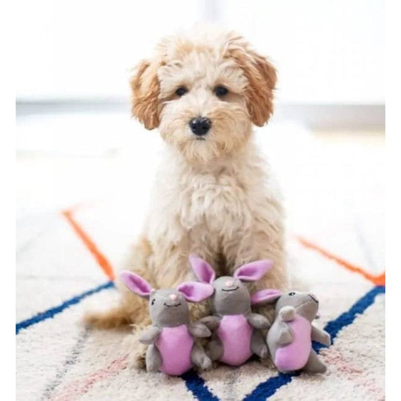 ZippyPaws dog toys Grey Bunnies Miniz Plush Squeaky Dog Toy Set - 3 Pk
