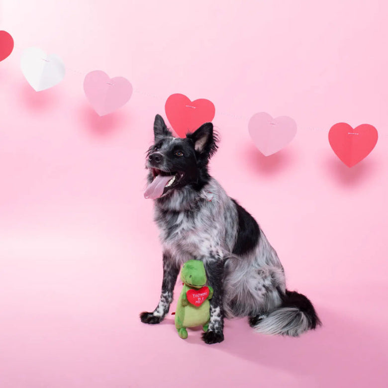 Love To Last A Million Years T Rex Heart Plush Squeaky Dog Toy