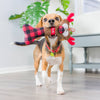 Christmas Reindeer Plush Squeaky Holiday Bone Dog Toy