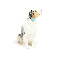 Huxley & Kent Collars Chicks & Eggs Pinwheel Pet Collar Attachment - 2 Sizes