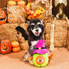 Hugsmart Products Inc dog toys Howloween Night Witch Avocado Plush Squeaky Dog Toy