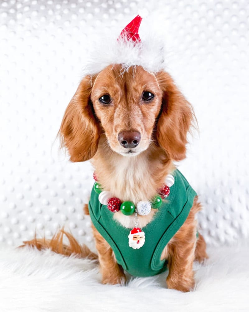 Parisian Pet® Tee's Dear Santa, Define Good Green Christmas Holiday Embroidered Dog T-Shirt