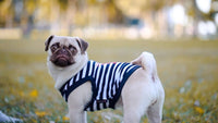 Parisian Pet® Tee's Red Lobster Striped Chasing Tail Summer Vibe Dog T-Shirt