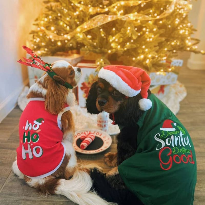 Parisian Pet® Tee's Dear Santa, Define Good Green Christmas Holiday Embroidered Dog T-Shirt