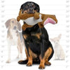 VIP Products/Tuffy dog toys Jr Mighty Dinosaur Series T Rex Durable Tough Dog Toy - Jr Size