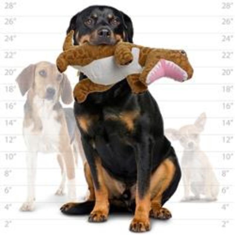 VIP Products/Tuffy dog toys Jr Mighty Dinosaur Series T Rex Durable Tough Dog Toy - Jr Size