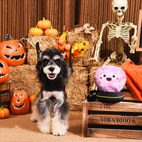 Hugsmart Products Inc dog toys Howloween Night Crystal Ball Plush Dog Toy - 2 Pc