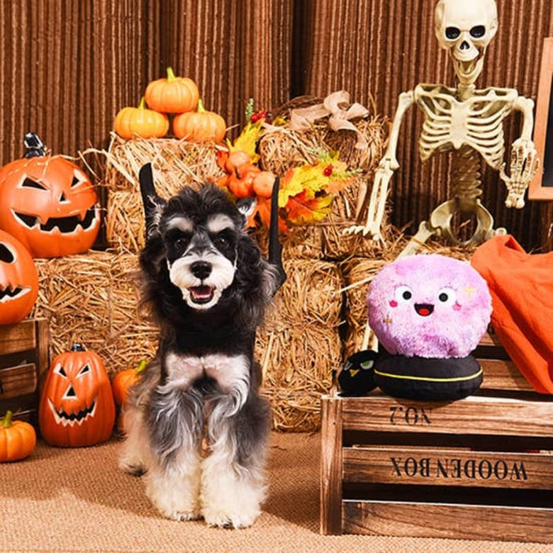 Hugsmart Products Inc dog toys Howloween Night Crystal Ball Plush Dog Toy - 2 Pc