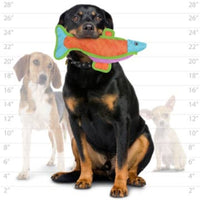VIP Products/Tuffy dog toys DuraForce Colorful Fish Durable Tough Dog Toy