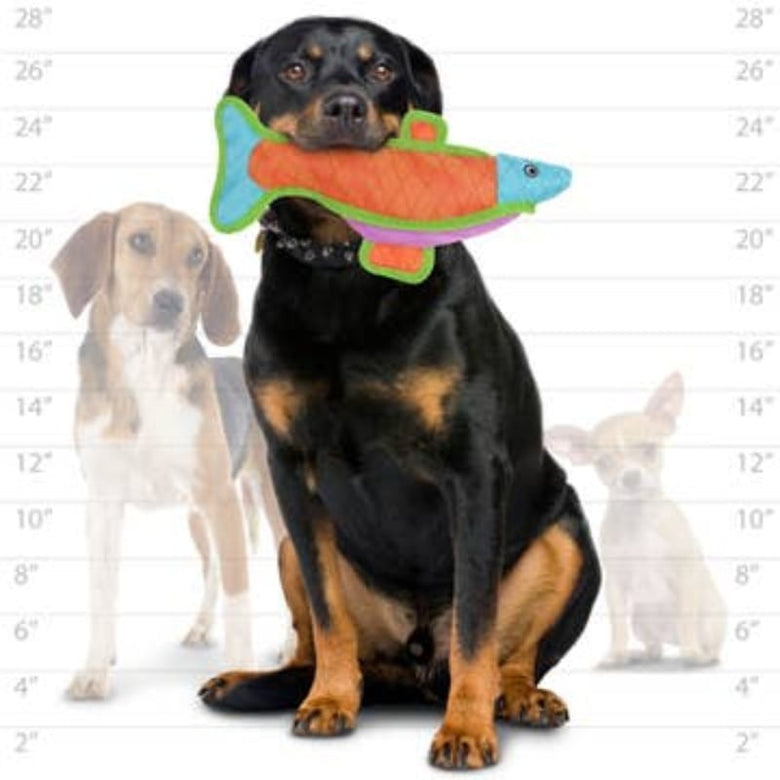 VIP Products/Tuffy dog toys DuraForce Colorful Fish Durable Tough Dog Toy