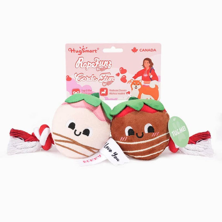 Hugsmart Products Inc Dog Toys Woof Love Sweet ChocoBerries Plush Squeak Rope Dog Toy