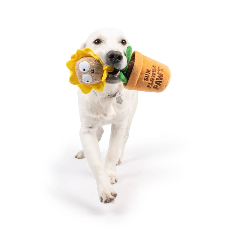 Huxley & Kent dog toys Seek 'n Treat Sunflower Pawt Plush Treat Interactive Dog Toy