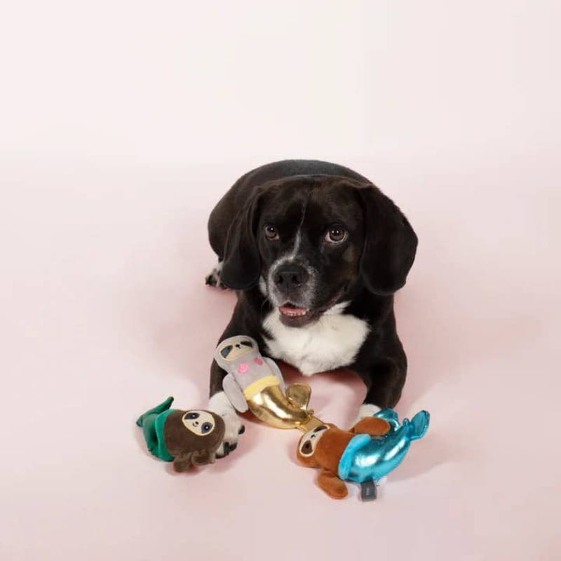 Pet Shop by Fringe Studio dog toys Mersloth 3pcs Small Plush Squeak Dog Toy Set