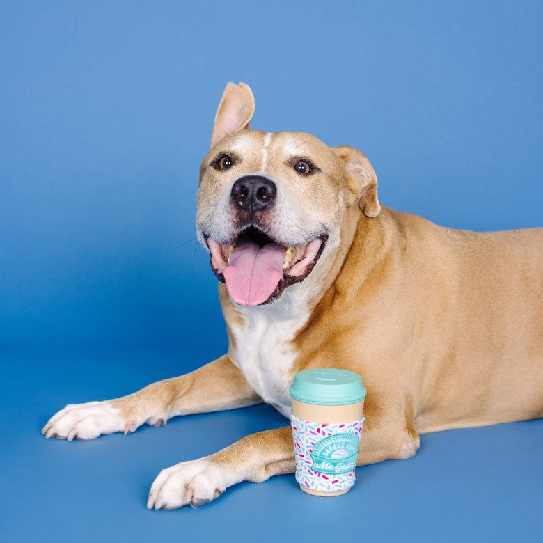 Coffee Gets Me Going Rubber/Plush Treat Interactive Dog Toy