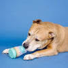 Coffee Gets Me Going Rubber/Plush Treat Interactive Dog Toy
