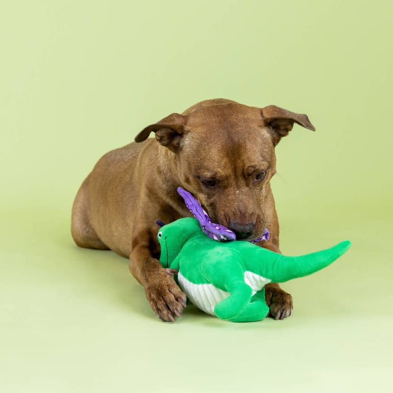 Petshop by Fringe Studio dog toys Flutter Rex Purple Butterfly Wings Plush Squeak Dog Toy