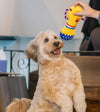 Thoozy dog toys #1 PUP Trophy Rope Tug Plush Squeaky Dog Toy - 9"
