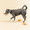 We Came We Saur Canvas Squeaky Mini Dog Toy Set - 3pc