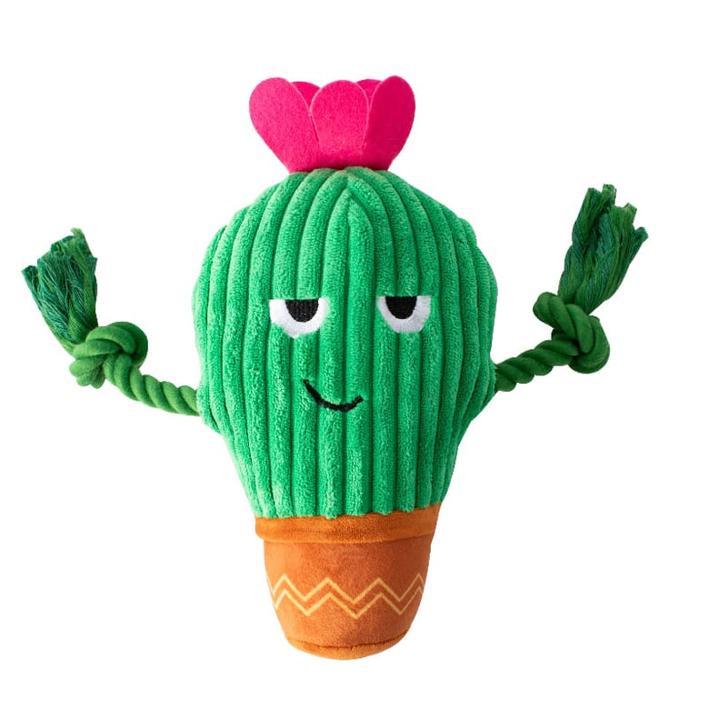 Petshop by Fringe Studio Dog Toys You Grow Chica! Spring Cactus Plush Squeak Dog Toy