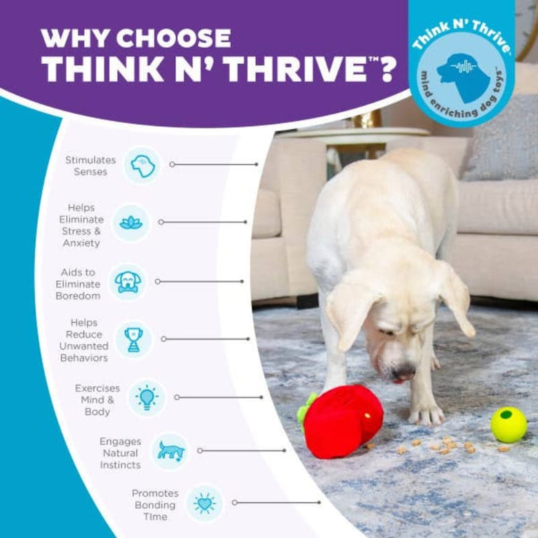 Outward Hound dog toys Fruity Findz Red Strawberry Interactive Ball Plush Dog Toy