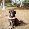 Buffalo Check Holiday Red Ruff with Jingle Bells for Pets