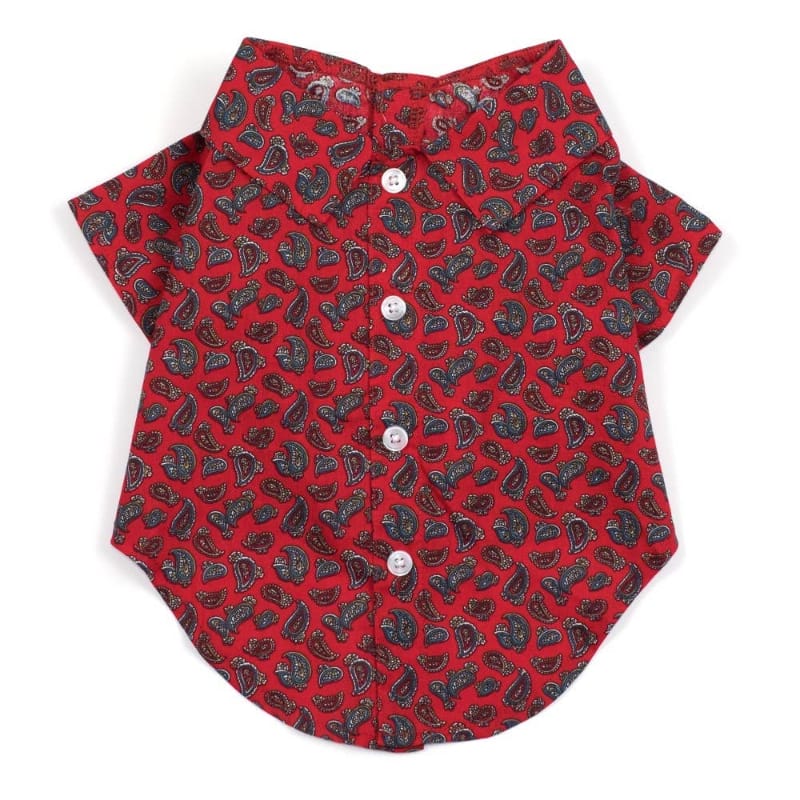 The Worthy Dog CollardShirts XS Paisley Red Collared Dog Shirt