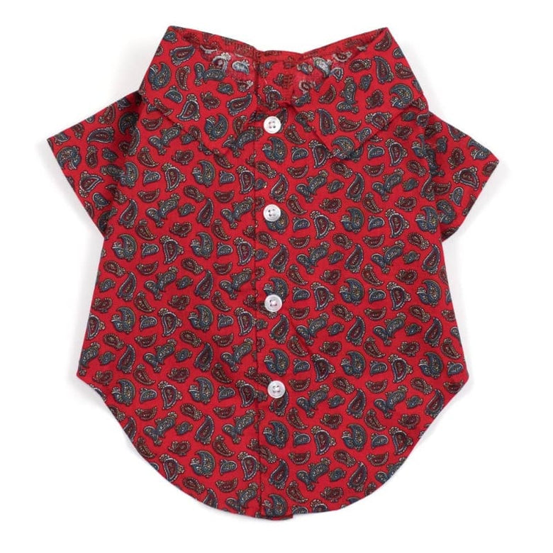 The Worthy Dog CollardShirts XS Paisley Red Collared Dog Shirt