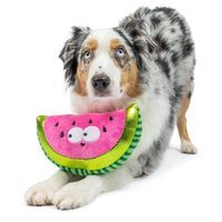 Huxley & Kent Dog Toys Fetchies Walter Melon Plush Squeak Dog Toy - 2 Sizes