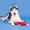 PetShop by Fringe Studio dog toys Reel Me In Red Fish Rubber & Plush Dog Toy