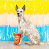 Petshop by Fringe Studio dog toys Muttchelada with Lime Adornment Plush Squeaky Dog Toy