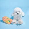 Hugsmart Products Inc dog toys Beach Daze Orange Popsicle Rope Plush Dog Toy